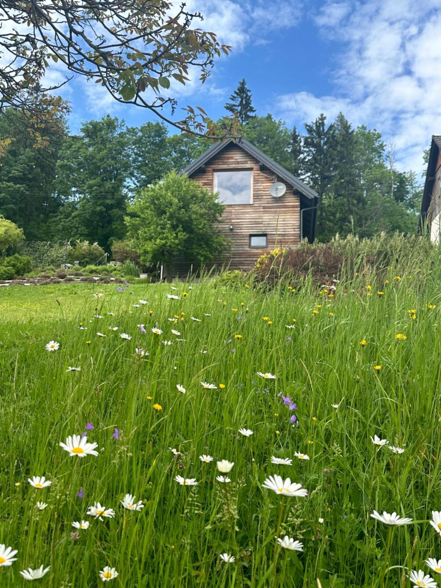 Wellness Apartmany Cesky Raj & Biokolna Lomnice nad Popelkou Buitenkant foto